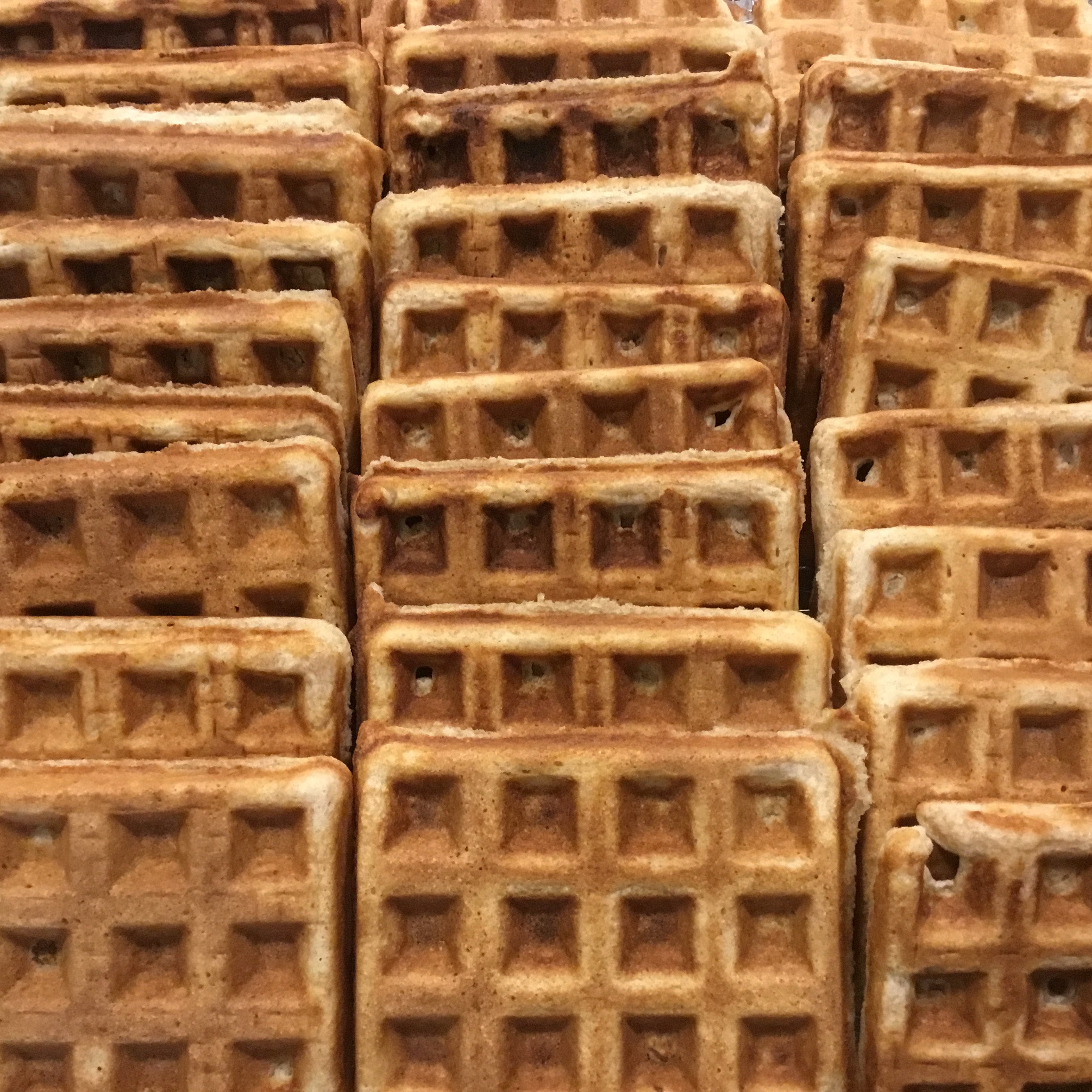 Sourdough Freezer Waffles Pack of 8