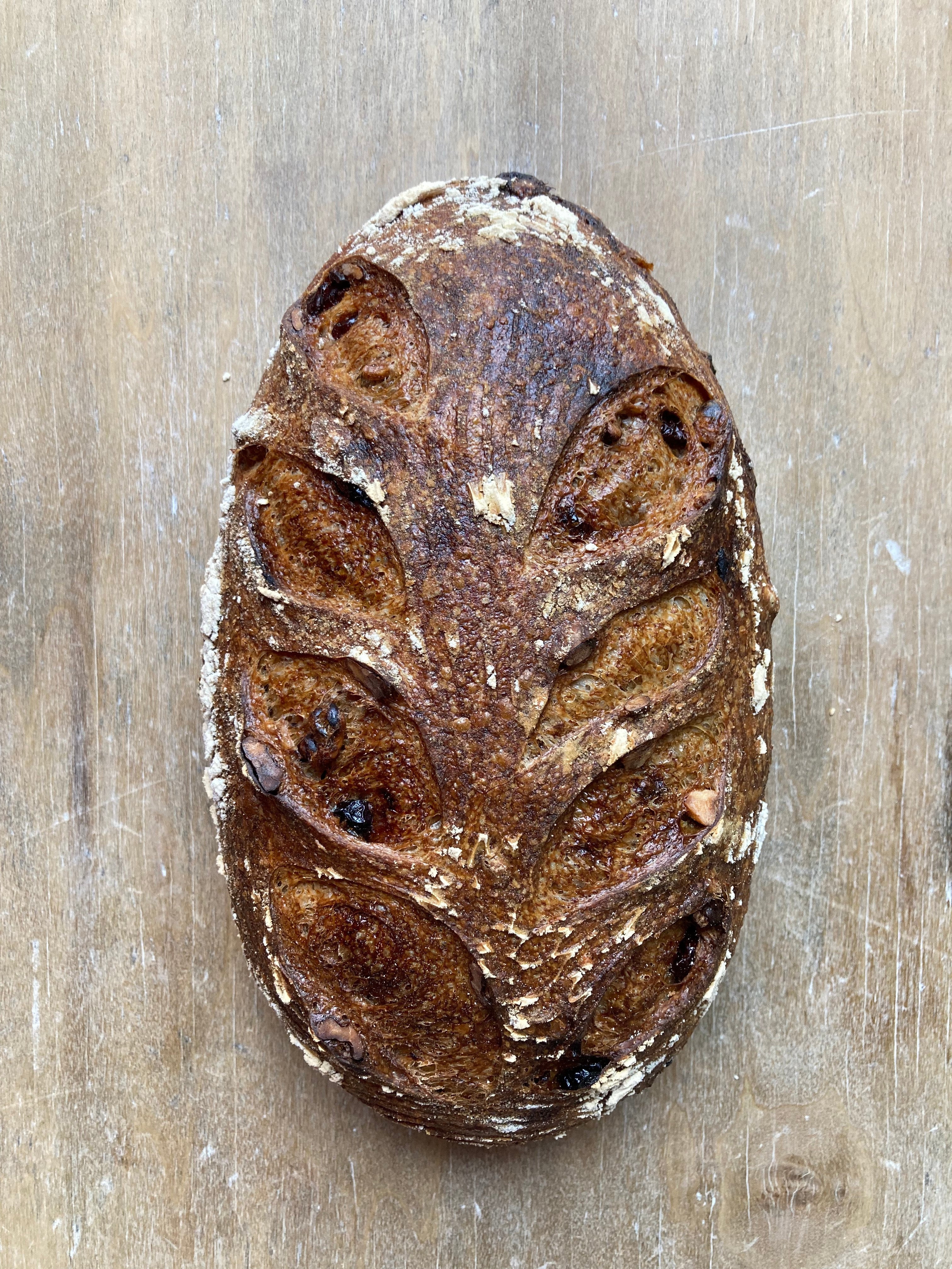 Apricot Walnut Levain
