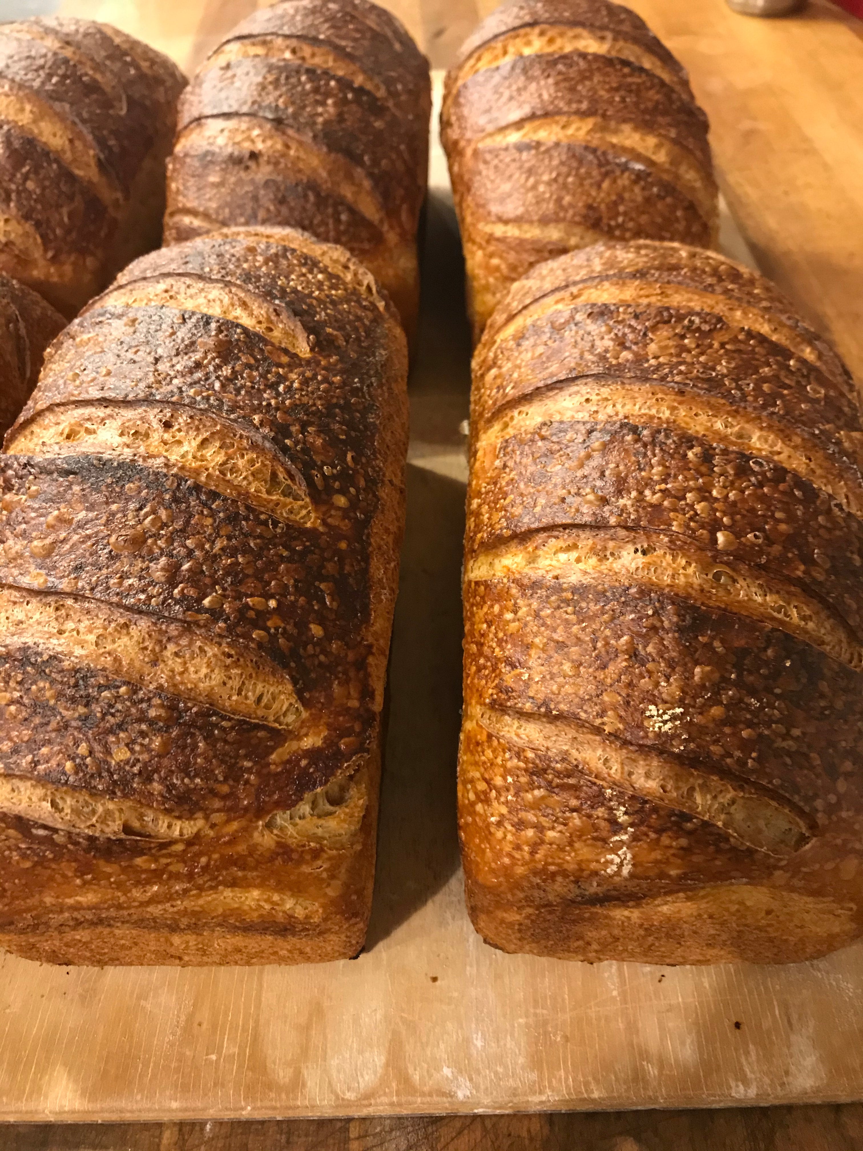 CCB Sourdough Pan Loaf