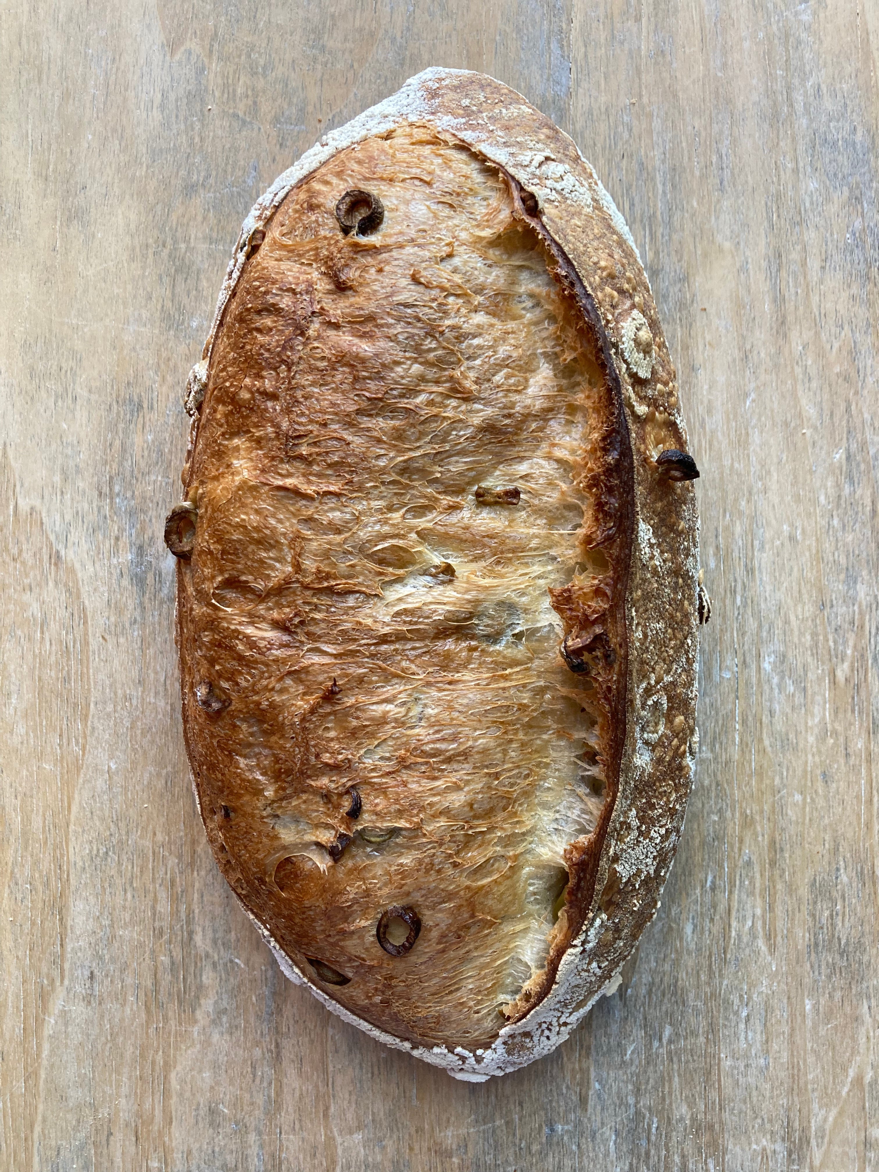 Green Olive Filone